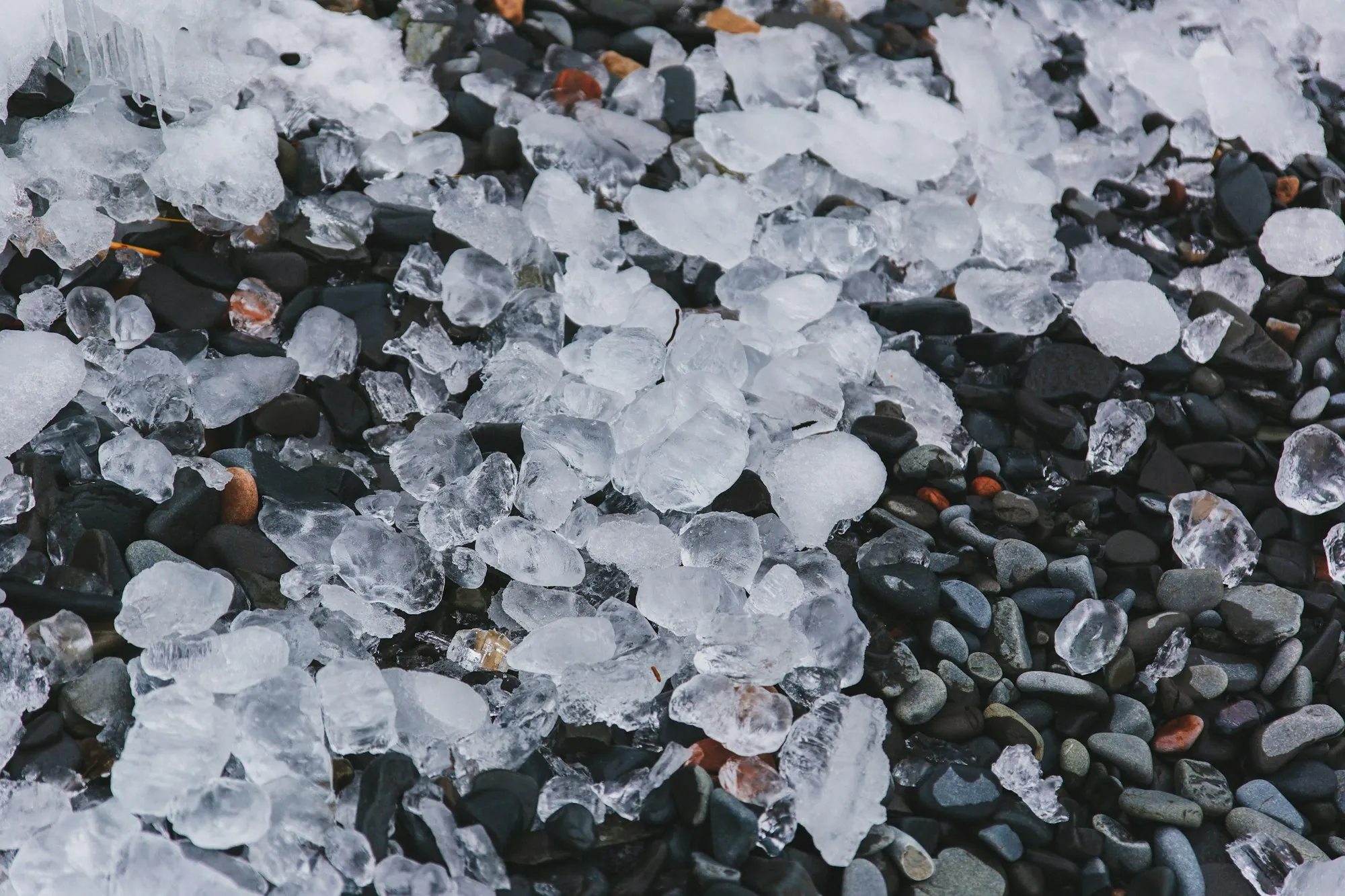 Close view of a dark car hood dotted with small hail dents reflecting overhead shop lights